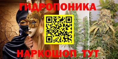 экстази Новозыбков