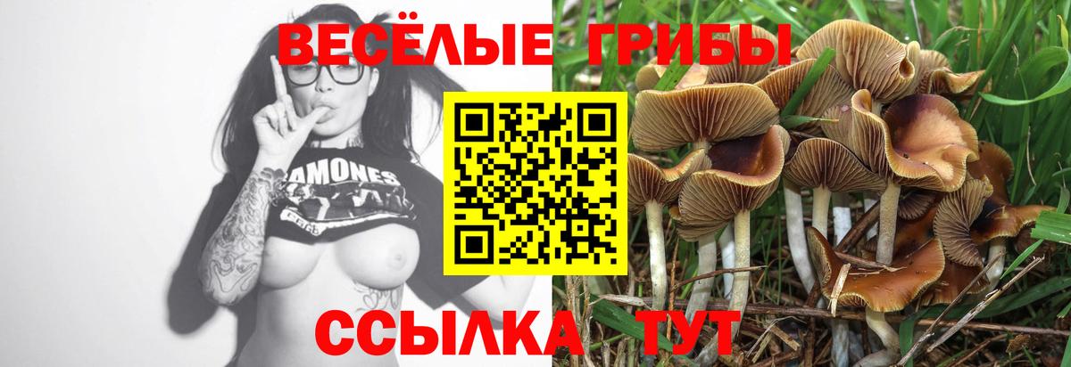 Тобольск  Галлюциногенные грибы прущие грибы  Галлюциногенные грибы ЛСД  Вход с VPN 